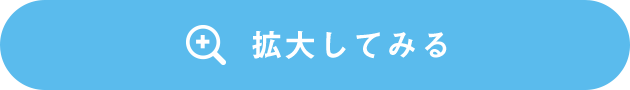 拡大してみる